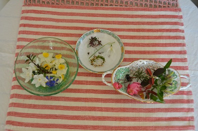 f:id:mitioyoneko:20190116105800j:plain f:id:mitioyoneko:20190116105800j:plain