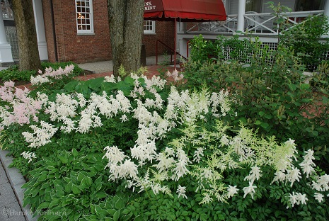 f:id:mitioyoneko:20190220105429j:plain