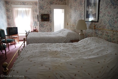 f:id:mitioyoneko:20190220105535j:plain