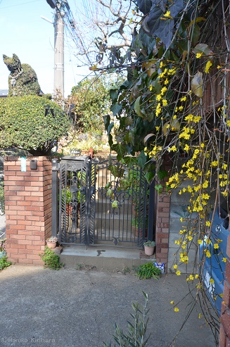 f:id:mitioyoneko:20190223101946j:plain f:id:mitioyoneko:20190223101946j:plain