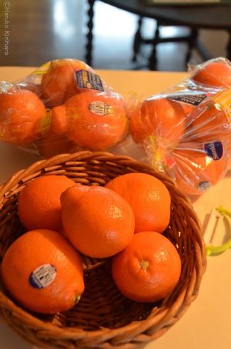 f:id:mitioyoneko:20190306161353j:plain f:id:mitioyoneko:20190306161353j:plain