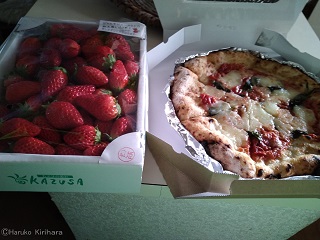f:id:mitioyoneko:20190514164208j:plain f:id:mitioyoneko:20190514164208j:plain