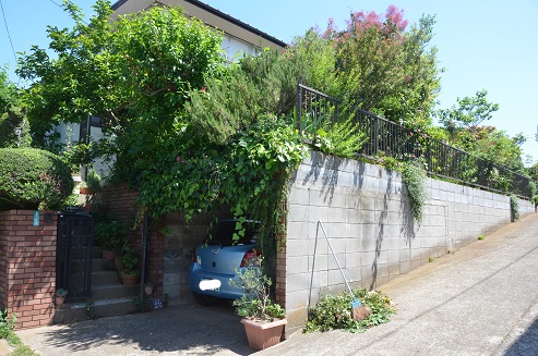 f:id:mitioyoneko:20190530124309j:plain