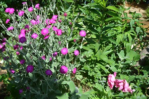 f:id:mitioyoneko:20190530124338j:plain