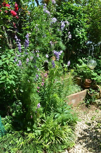 f:id:mitioyoneko:20190613154424j:plain f:id:mitioyoneko:20190613154424j:plain