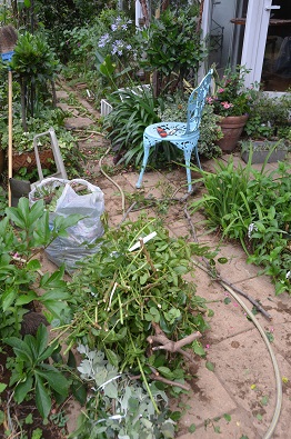 f:id:mitioyoneko:20190623151000j:plain f:id:mitioyoneko:20190623151000j:plain