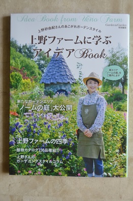 f:id:mitioyoneko:20190711142610j:plain f:id:mitioyoneko:20190711142610j:plain
