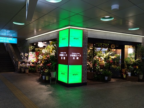 f:id:mitioyoneko:20190712203656j:plain f:id:mitioyoneko:20190712203656j:plain