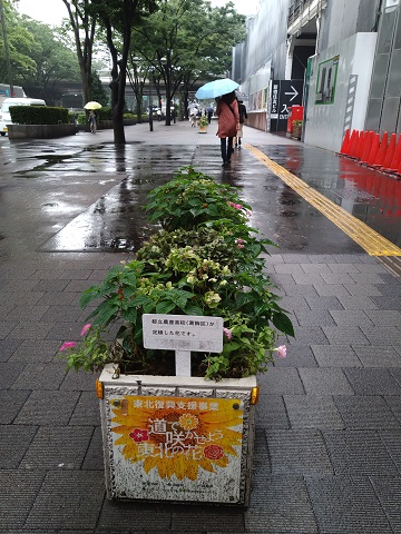 f:id:mitioyoneko:20190712203731j:plain f:id:mitioyoneko:20190712203731j:plain