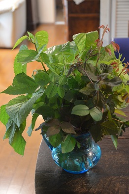 f:id:mitioyoneko:20190712211455j:plain f:id:mitioyoneko:20190712211455j:plain