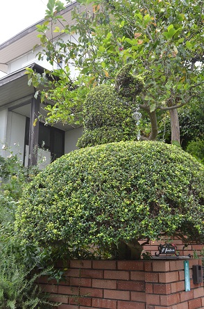 f:id:mitioyoneko:20190828141807j:plain