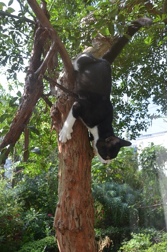 f:id:mitioyoneko:20190907165447j:plain f:id:mitioyoneko:20190907165447j:plain