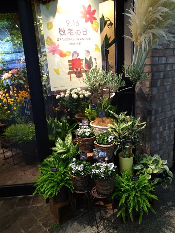 f:id:mitioyoneko:20190913212213j:plain