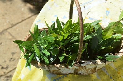 f:id:mitioyoneko:20190917111142j:plain