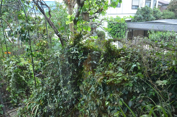 f:id:mitioyoneko:20190924165333j:plain