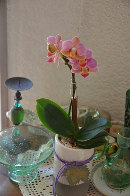 f:id:mitioyoneko:20190928100837j:plain f:id:mitioyoneko:20190928100837j:plain