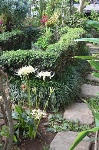 f:id:mitioyoneko:20190928100901j:plain f:id:mitioyoneko:20190928100901j:plain