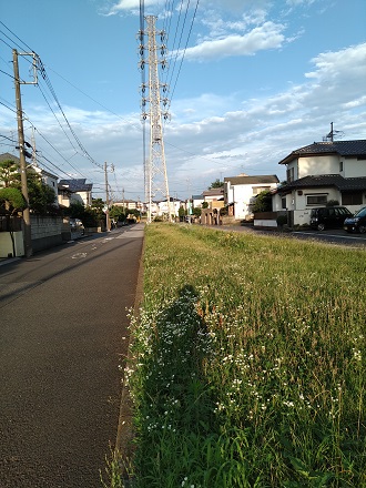 f:id:mitioyoneko:20200705210032j:plain f:id:mitioyoneko:20200705210032j:plain