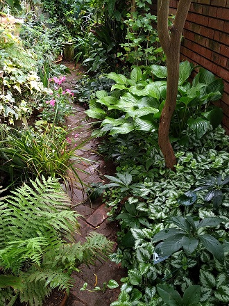 f:id:mitioyoneko:20200710134649j:plain f:id:mitioyoneko:20200710134649j:plain