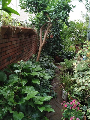 f:id:mitioyoneko:20200710134650j:plain f:id:mitioyoneko:20200710134650j:plain