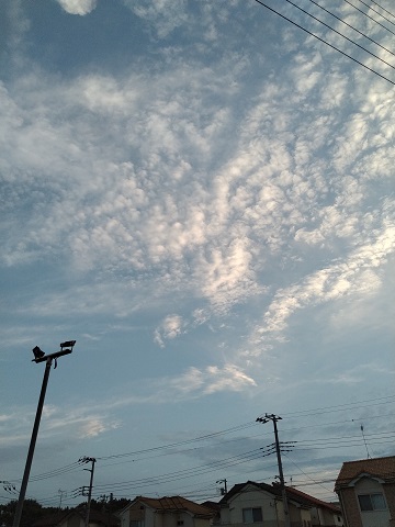 f:id:mitioyoneko:20200721211037j:plain