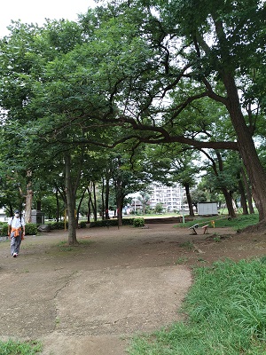 f:id:mitioyoneko:20200729212623j:plain f:id:mitioyoneko:20200729212623j:plain