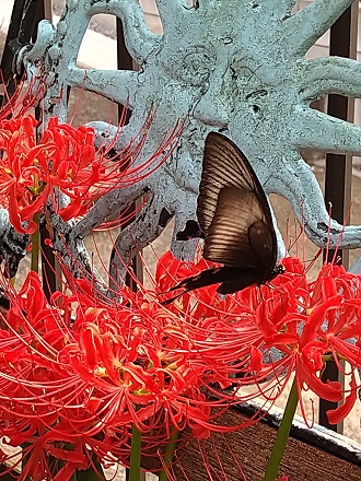 f:id:mitioyoneko:20201003201303j:plain