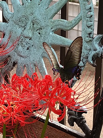 f:id:mitioyoneko:20201003211757j:plain