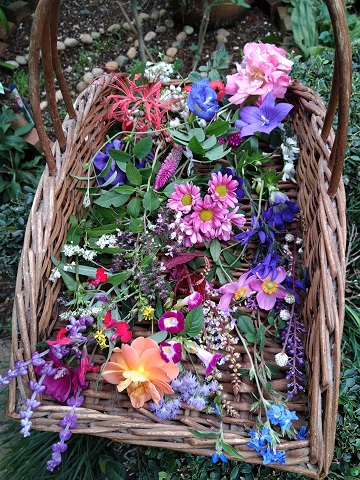 秋の庭で摘んだ花で花遊び 桐原春子の ハーブダイアリー