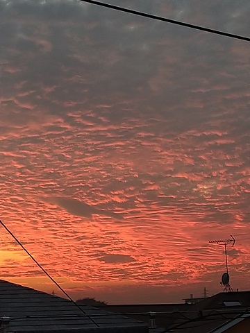 f:id:mitioyoneko:20201106211127j:plain f:id:mitioyoneko:20201106211127j:plain