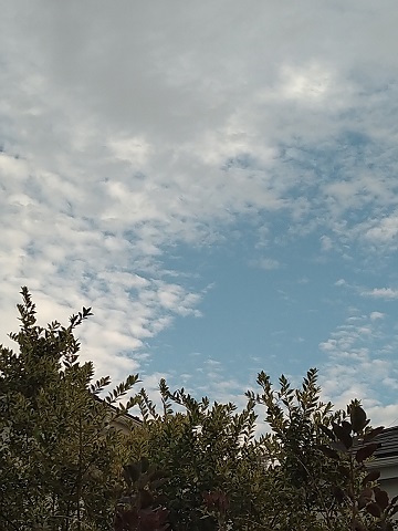 f:id:mitioyoneko:20201106211129j:plain f:id:mitioyoneko:20201106211129j:plain