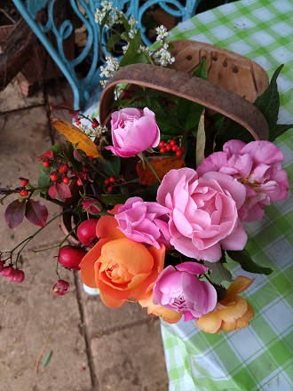 f:id:mitioyoneko:20201106211209j:plain f:id:mitioyoneko:20201106211209j:plain