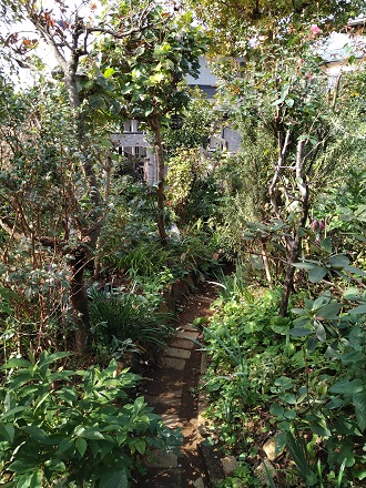 f:id:mitioyoneko:20201112221537j:plain f:id:mitioyoneko:20201112221537j:plain