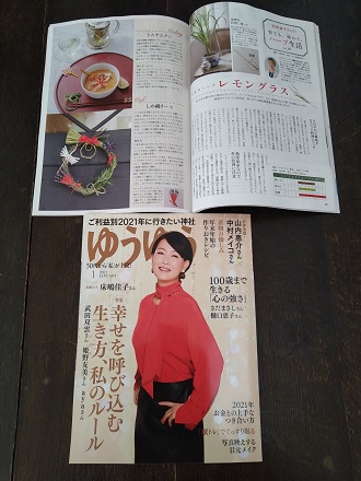 f:id:mitioyoneko:20201128174650j:plain