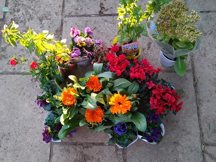 f:id:mitioyoneko:20201128174735j:plain