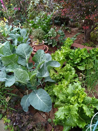 f:id:mitioyoneko:20201129202542j:plain