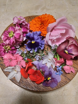 f:id:mitioyoneko:20201214210039j:plain