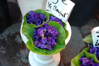 f:id:mitioyoneko:20210105221042j:plain