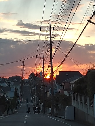 f:id:mitioyoneko:20210214212302j:plain