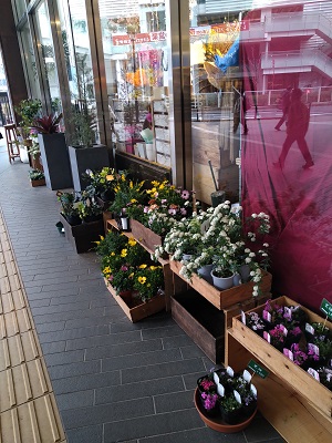 f:id:mitioyoneko:20210226211510j:plain