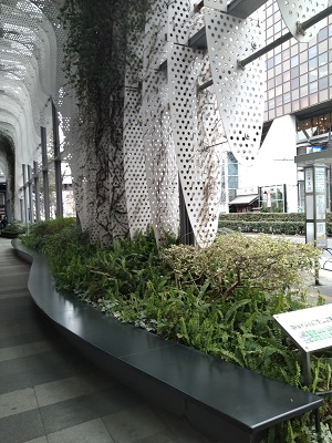 f:id:mitioyoneko:20210226211522j:plain