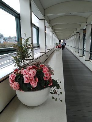 f:id:mitioyoneko:20210226211529j:plain