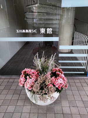 f:id:mitioyoneko:20210226215354j:plain