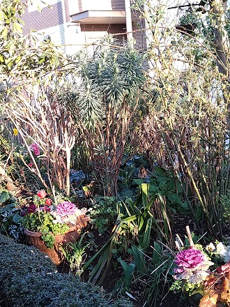 f:id:mitioyoneko:20210227205440j:plain