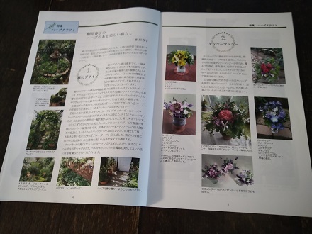 f:id:mitioyoneko:20210702203117j:plain