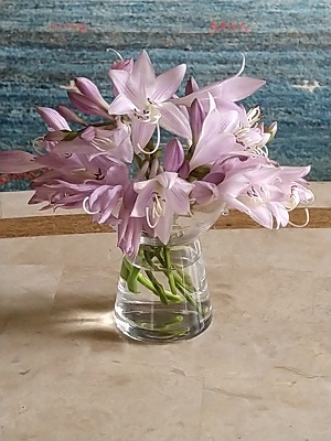 f:id:mitioyoneko:20210702203448j:plain