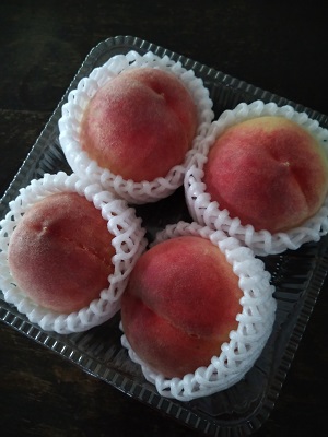 f:id:mitioyoneko:20210702203749j:plain