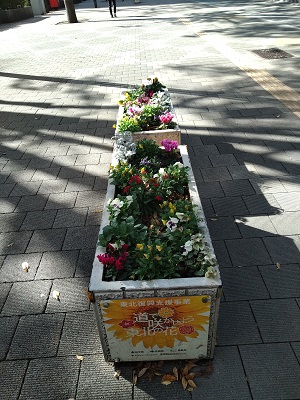 f:id:mitioyoneko:20211113205913j:plain