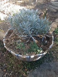 f:id:mitioyoneko:20220122215742j:plain