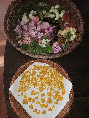 f:id:mitioyoneko:20220122215806j:plain